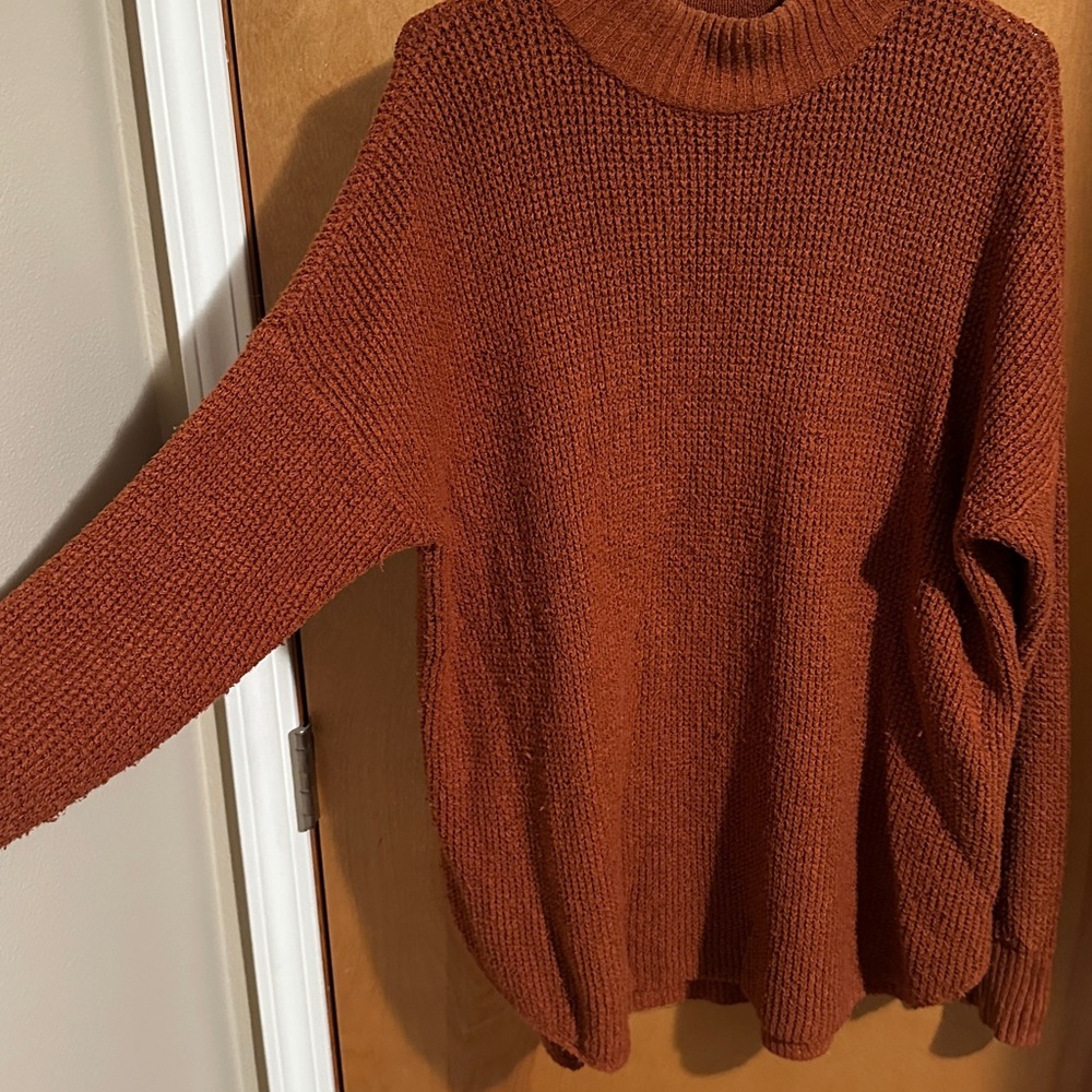 American Eagle Outfitters Warm Rust Turtleneck Sweater